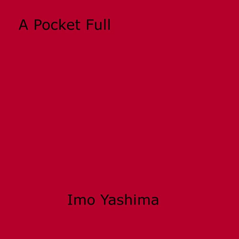 Big bigCover of A Pocket Full