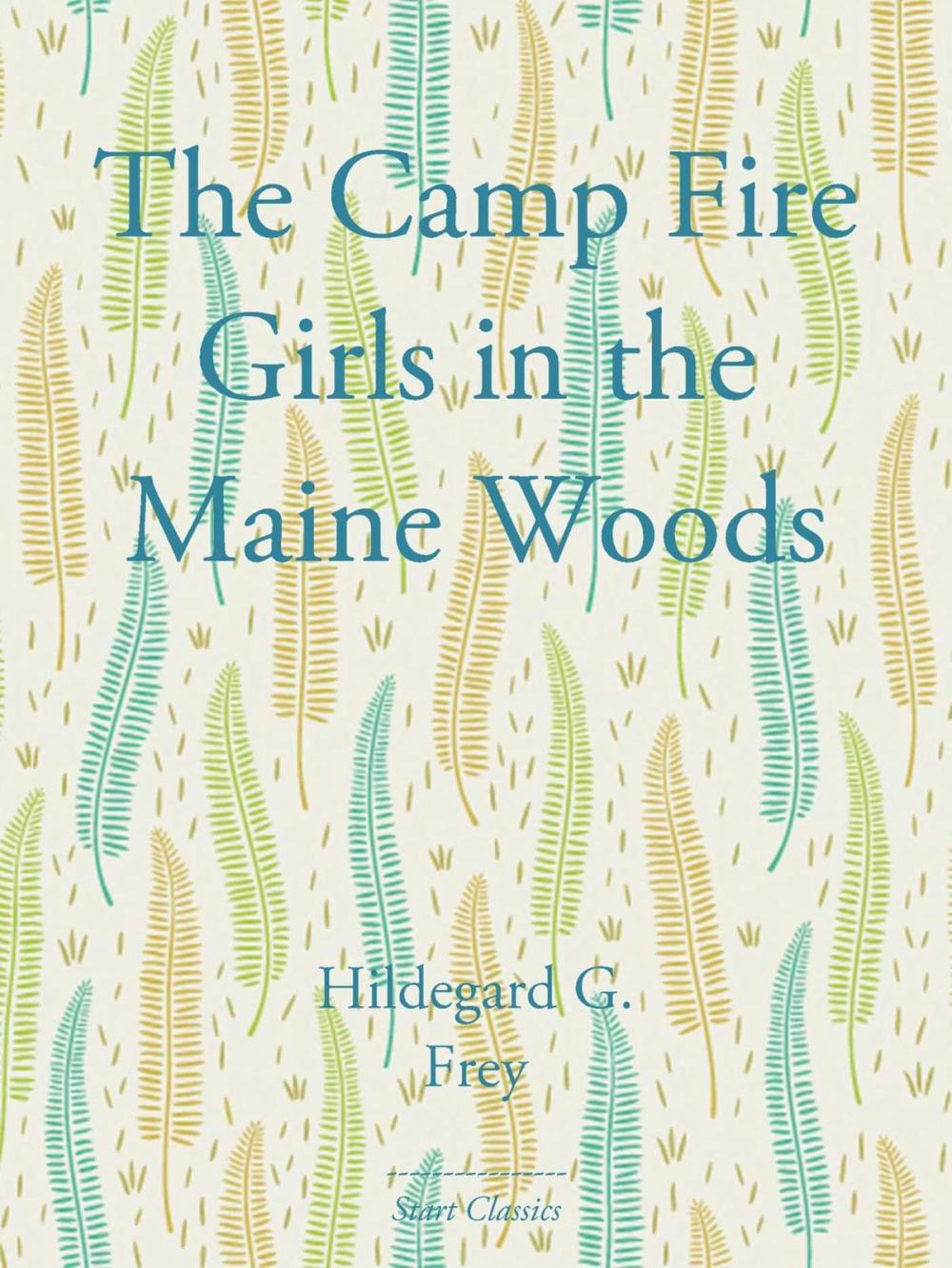 Big bigCover of The Camp Fire Girls in the Maine Wood