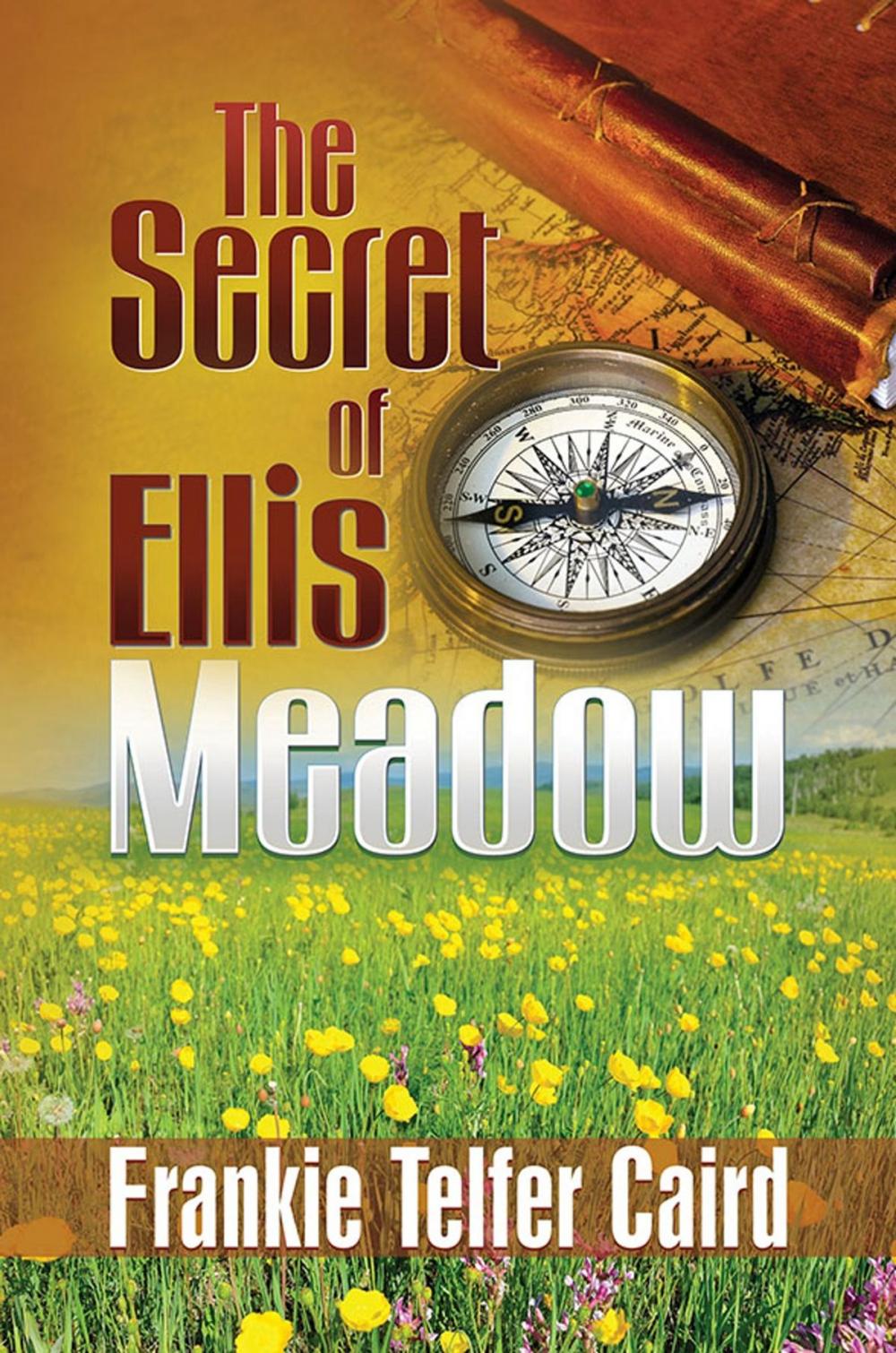 Big bigCover of The Secret of Ellis Meadow