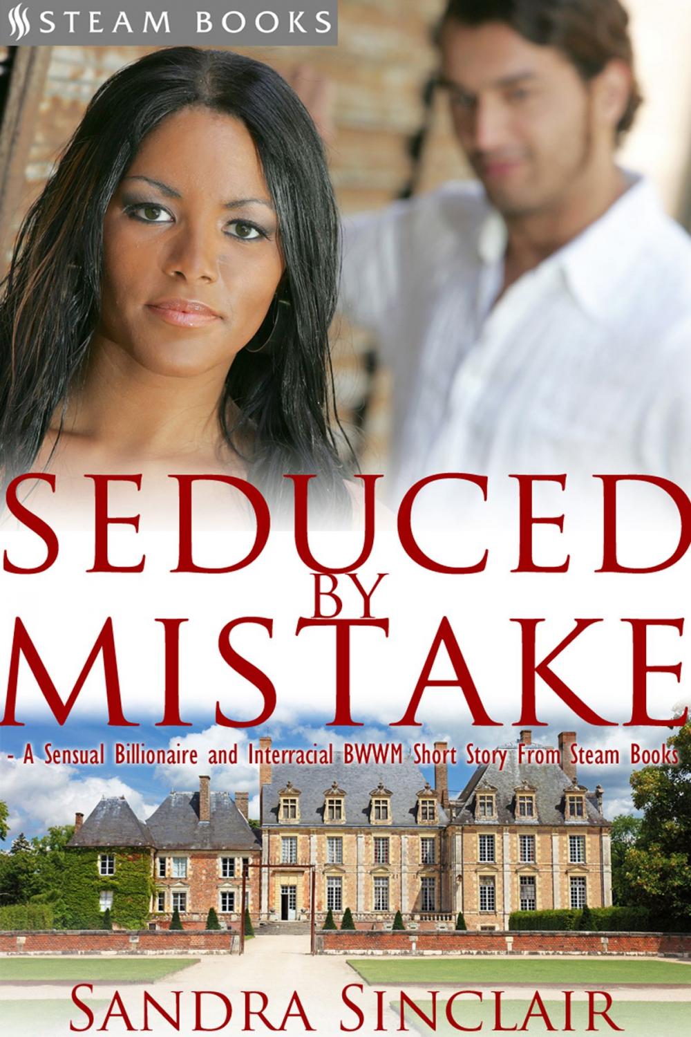 Big bigCover of Seduced by Mistake - A Sensual Billionaire and Interracial BWWM Erotic Romance from Steam Books