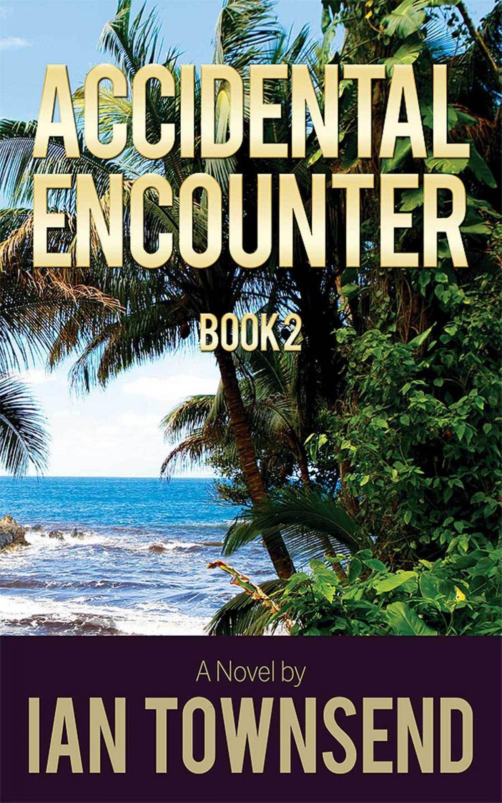 Big bigCover of Accidental Encounter