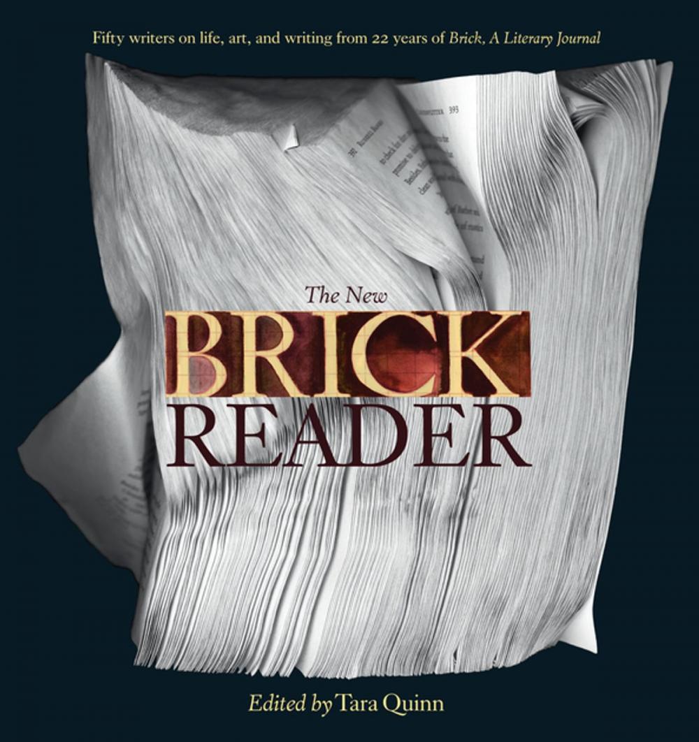 Big bigCover of The New Brick Reader