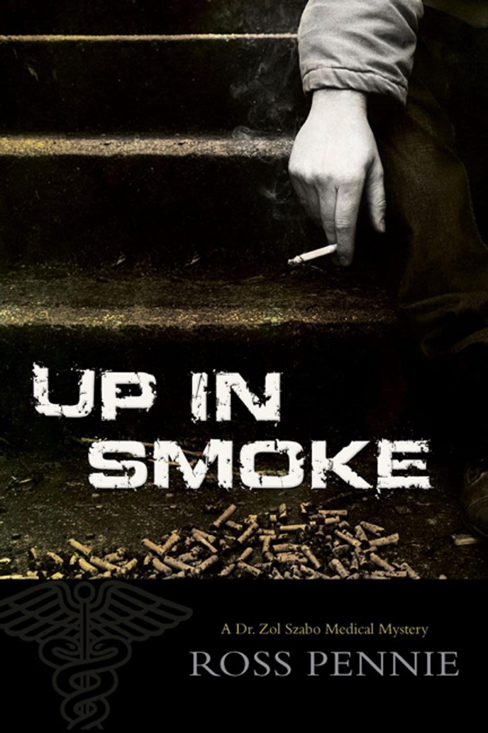 Big bigCover of Up in Smoke