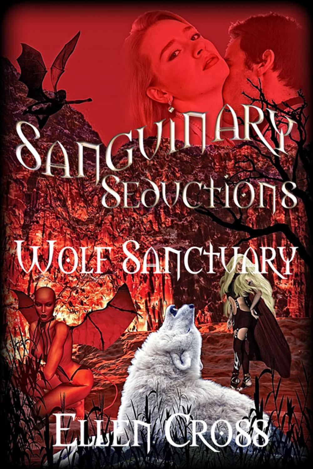 Big bigCover of Wolf Sanctuary