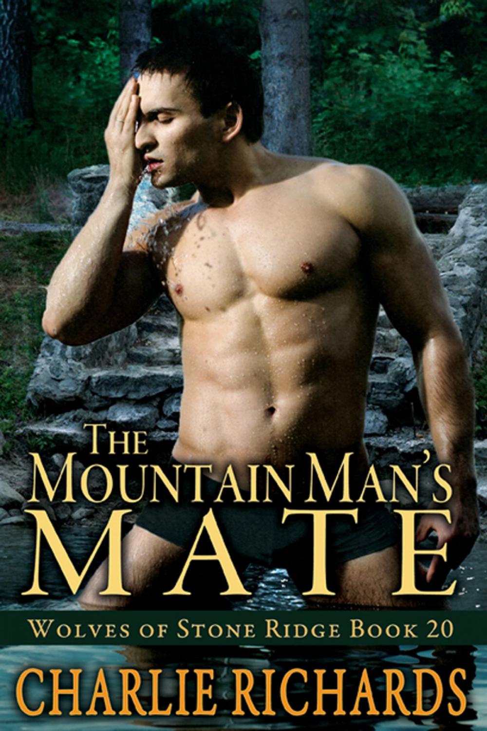 Big bigCover of The Mountain Man's Mate