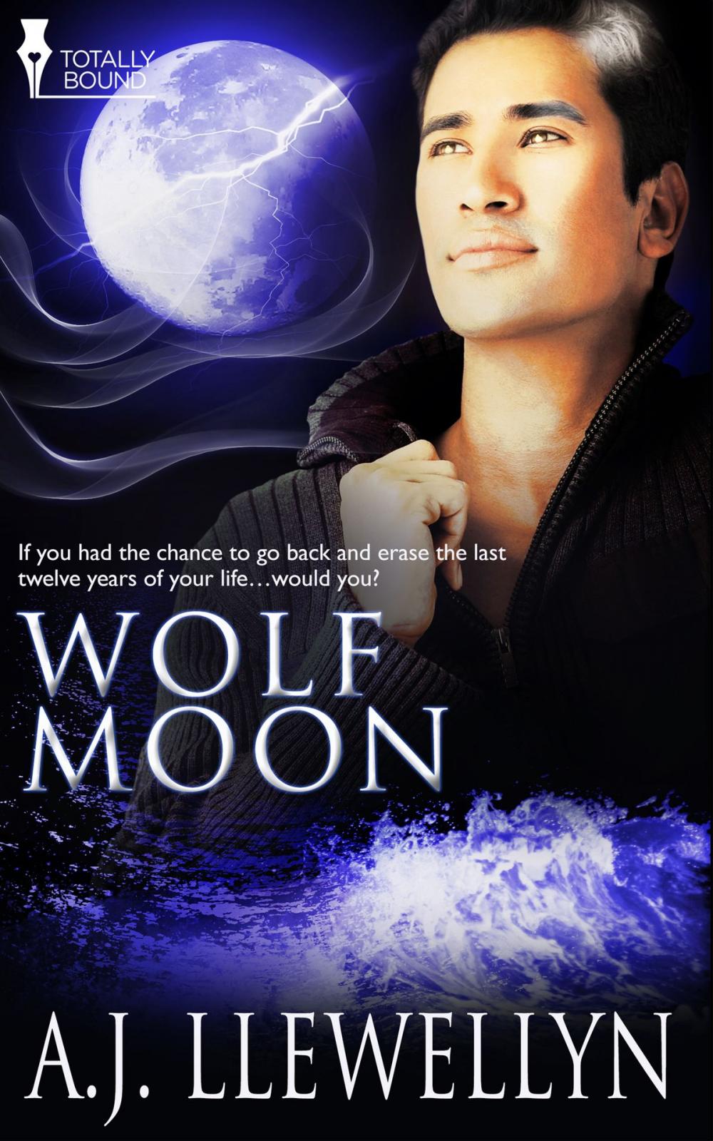 Big bigCover of Wolf Moon