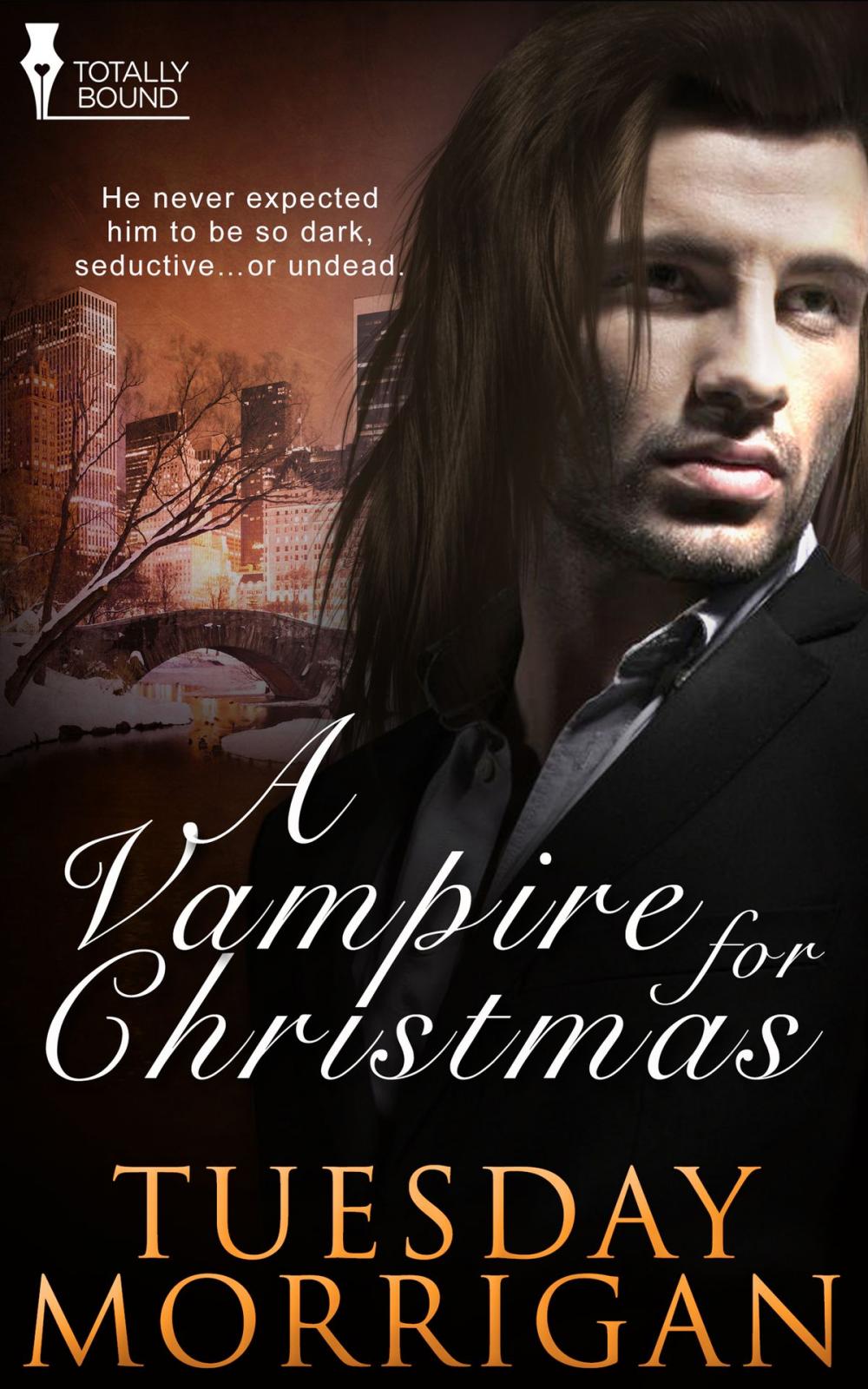 Big bigCover of A Vampire For Christmas