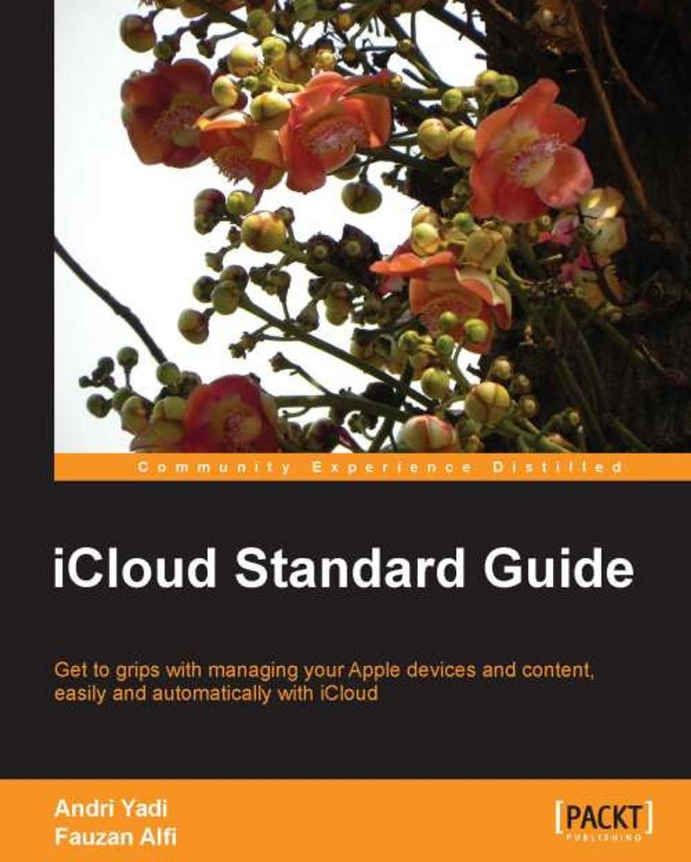 Big bigCover of iCloud Standard Guide