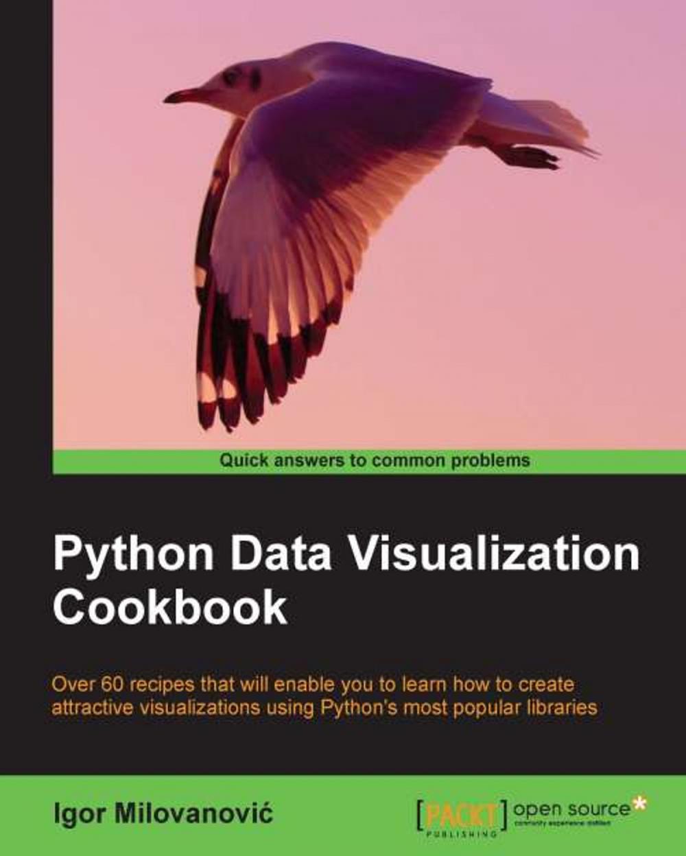 Big bigCover of Python Data Visualization Cookbook