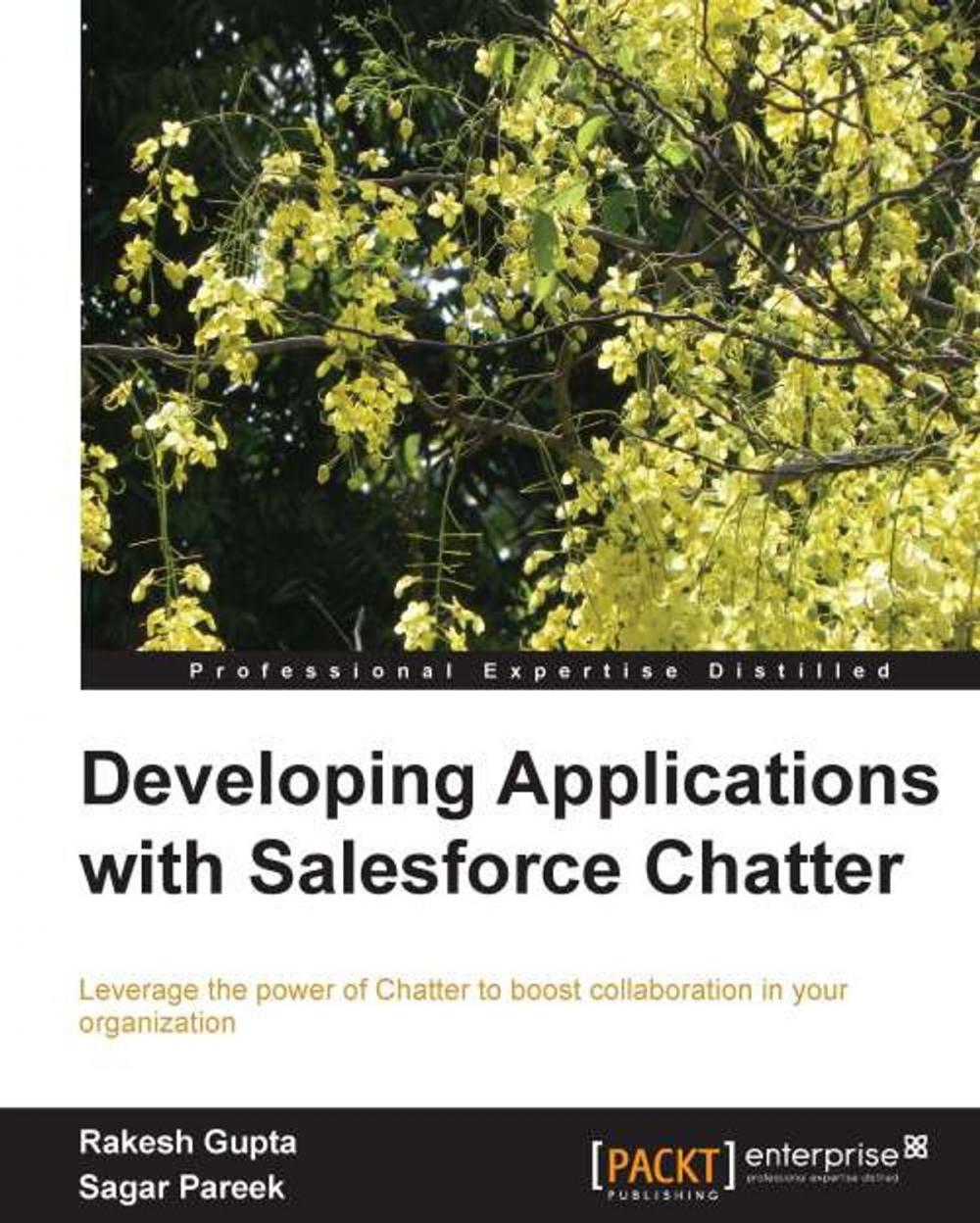 Big bigCover of Developing Applications with Salesforce Chatter