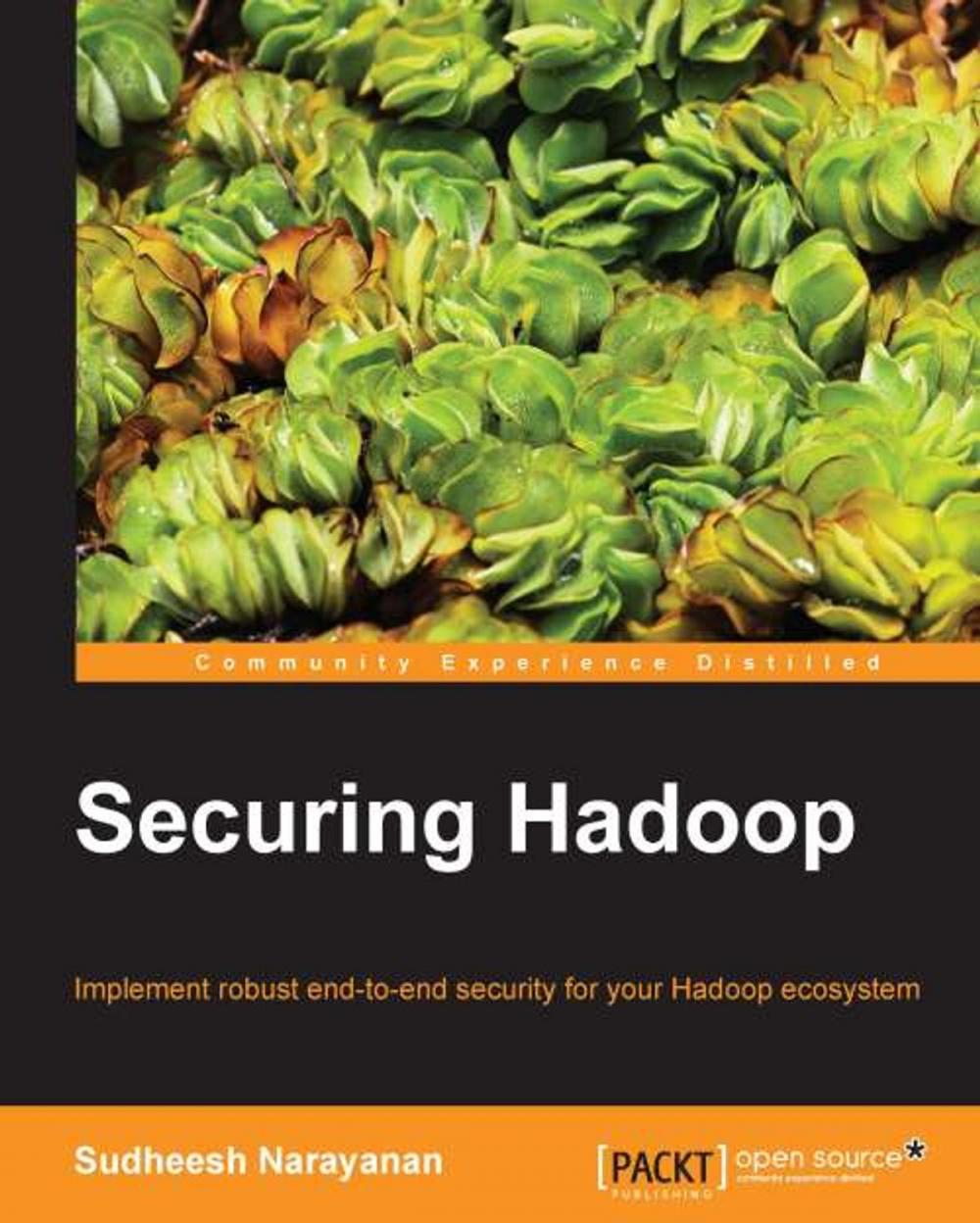 Big bigCover of Securing Hadoop