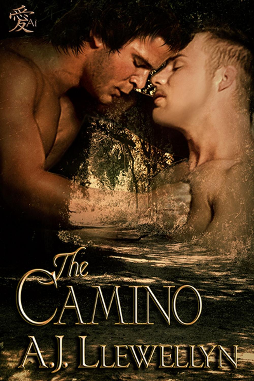 Big bigCover of The Camino