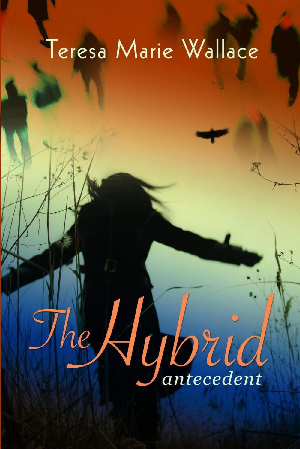 Big bigCover of The Hybrid