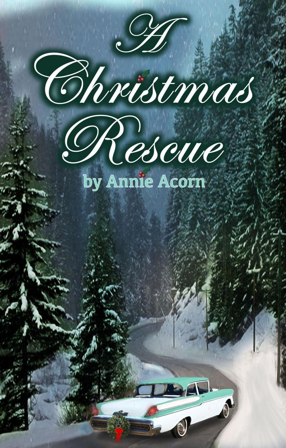 Big bigCover of A Christmas Rescue