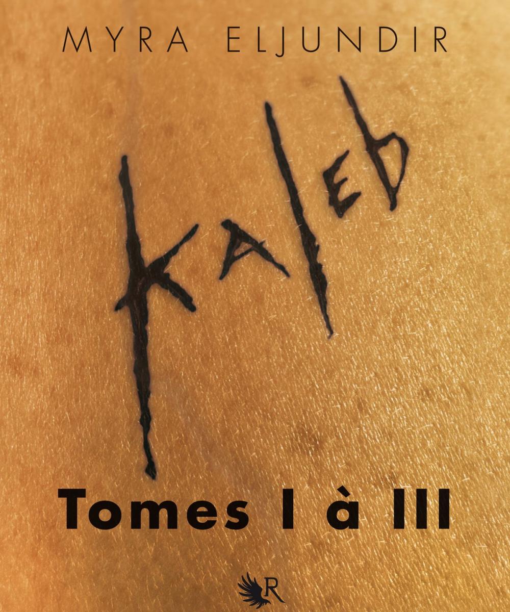 Big bigCover of L'Intégrale Kaleb - Tomes I à III