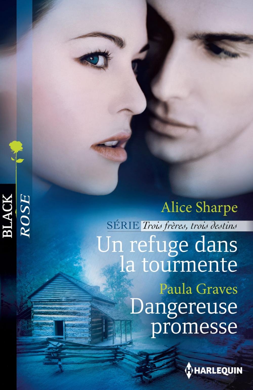 Big bigCover of Un refuge dans la tourmente - Dangereuse promesse