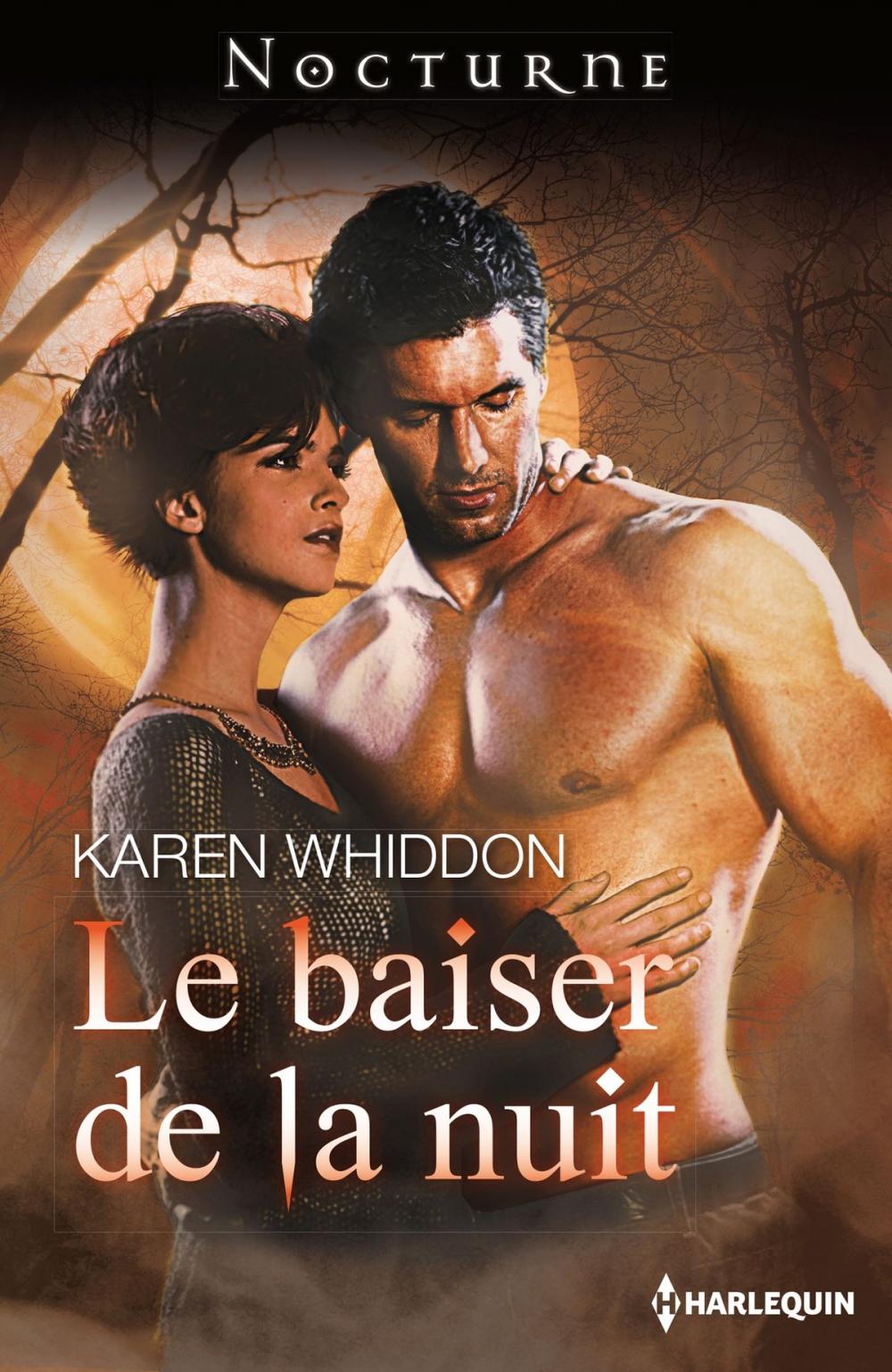 Big bigCover of Le baiser de la nuit