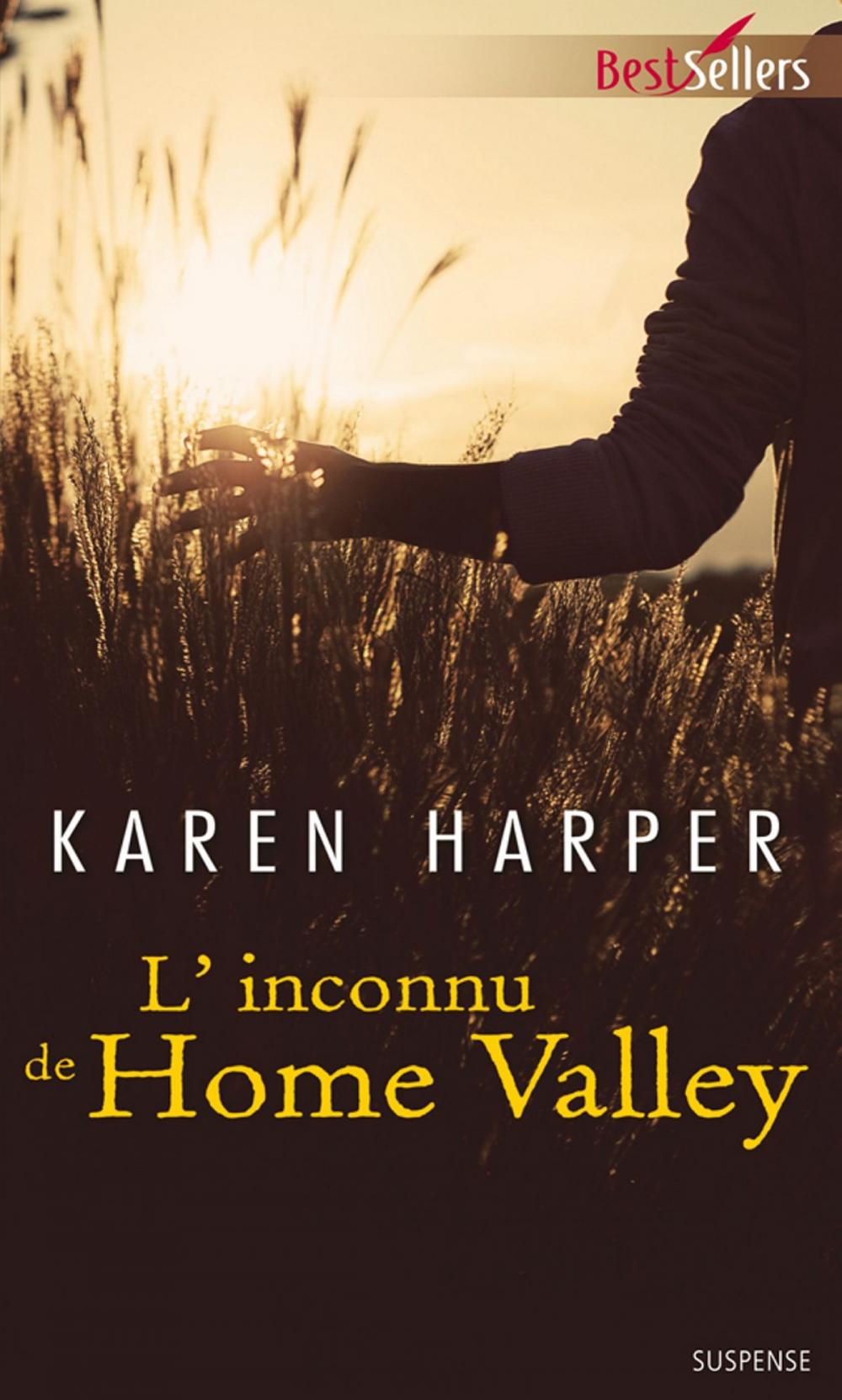 Big bigCover of L'inconnu de Home Valley
