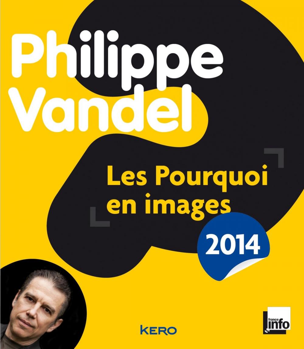 Big bigCover of Les pourquoi en images 2014