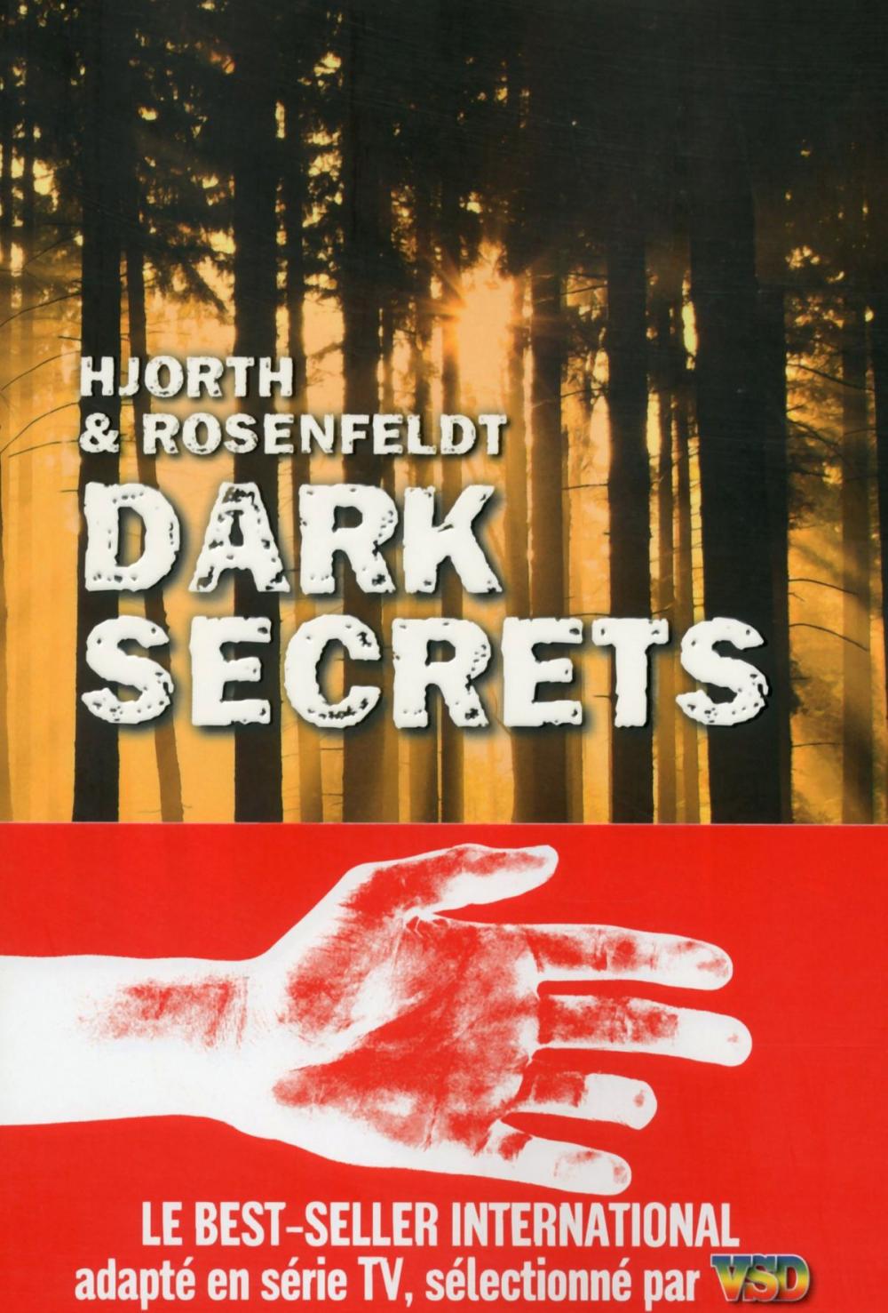 Big bigCover of Dark secrets