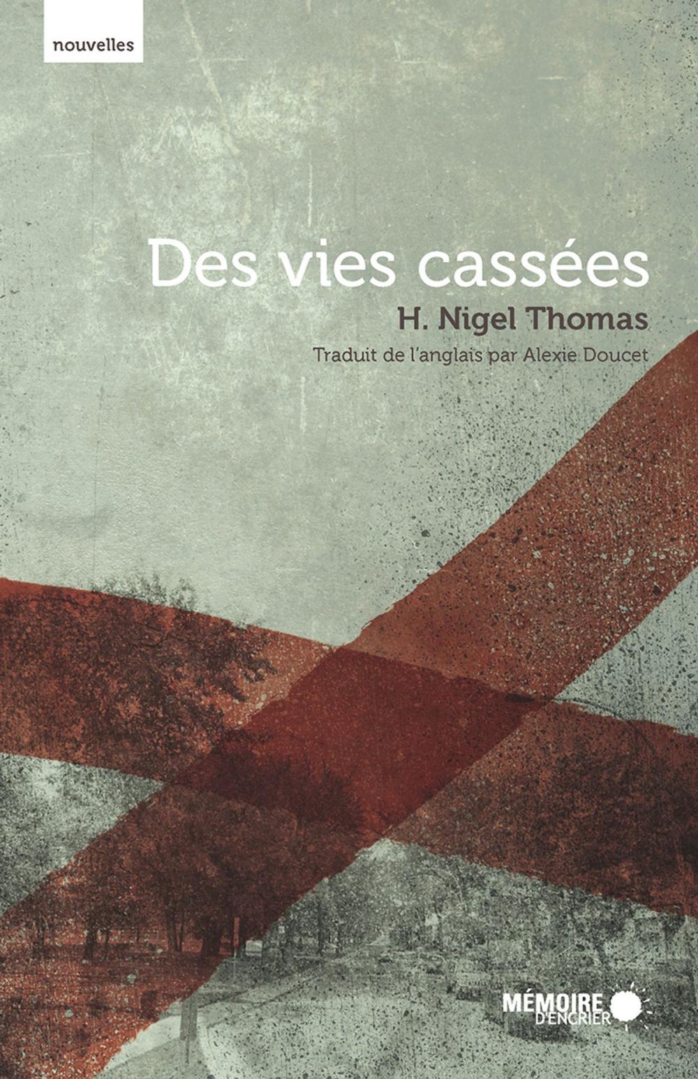 Big bigCover of Des vies cassées