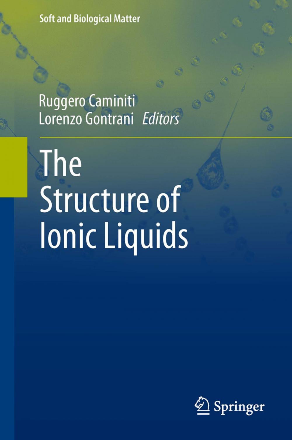 Big bigCover of The Structure of Ionic Liquids