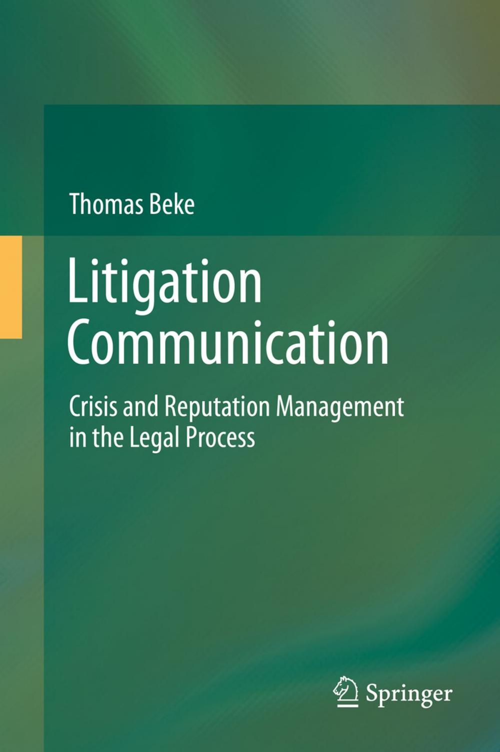 Big bigCover of Litigation Communication