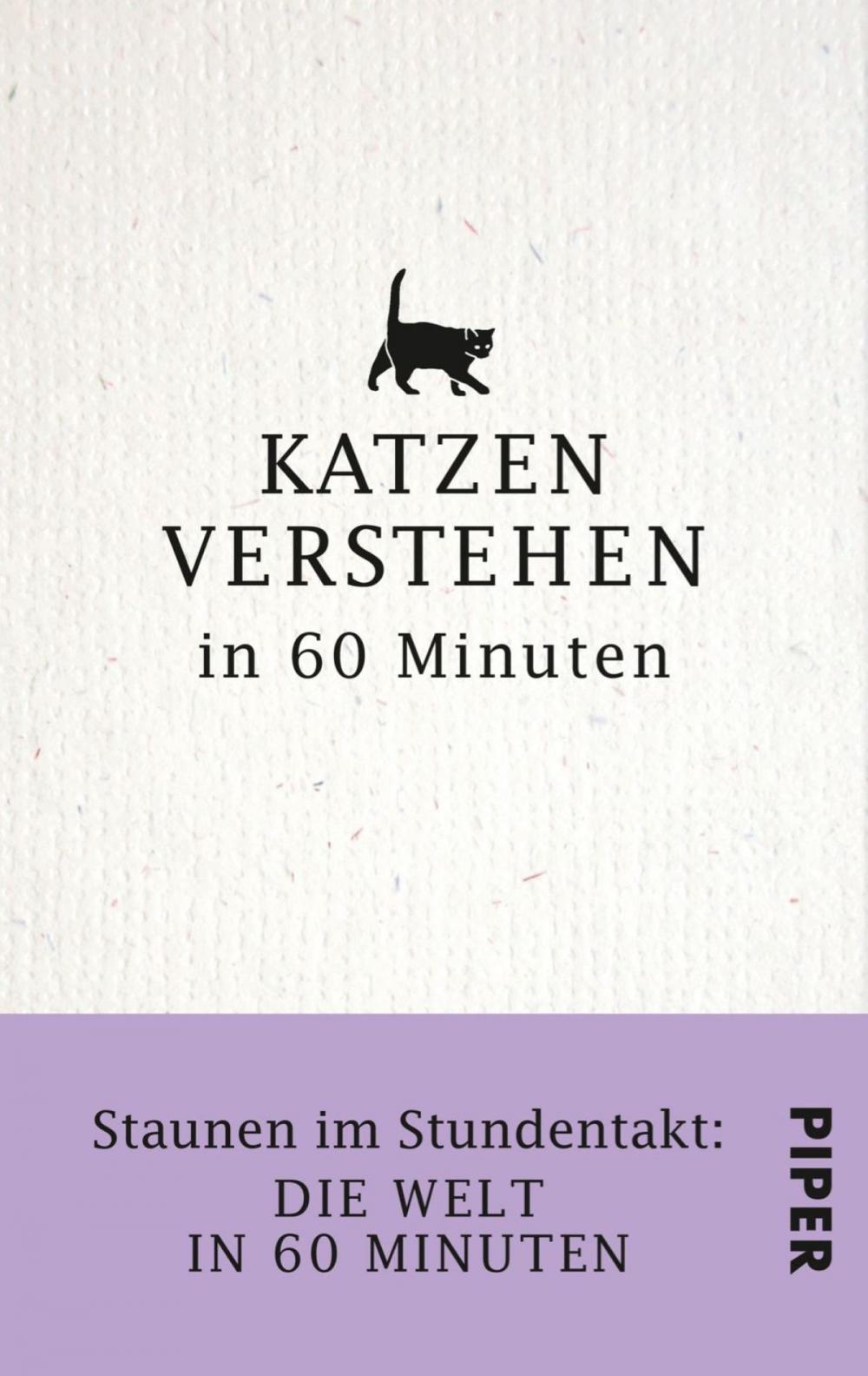 Big bigCover of Katzen verstehen in 60 Minuten