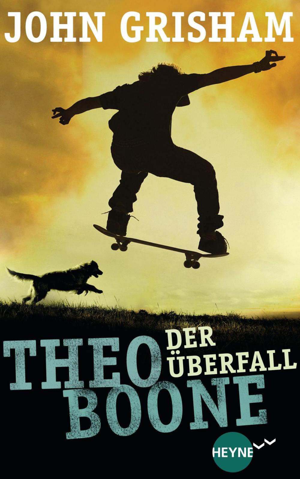 Big bigCover of Theo Boone - Der Überfall