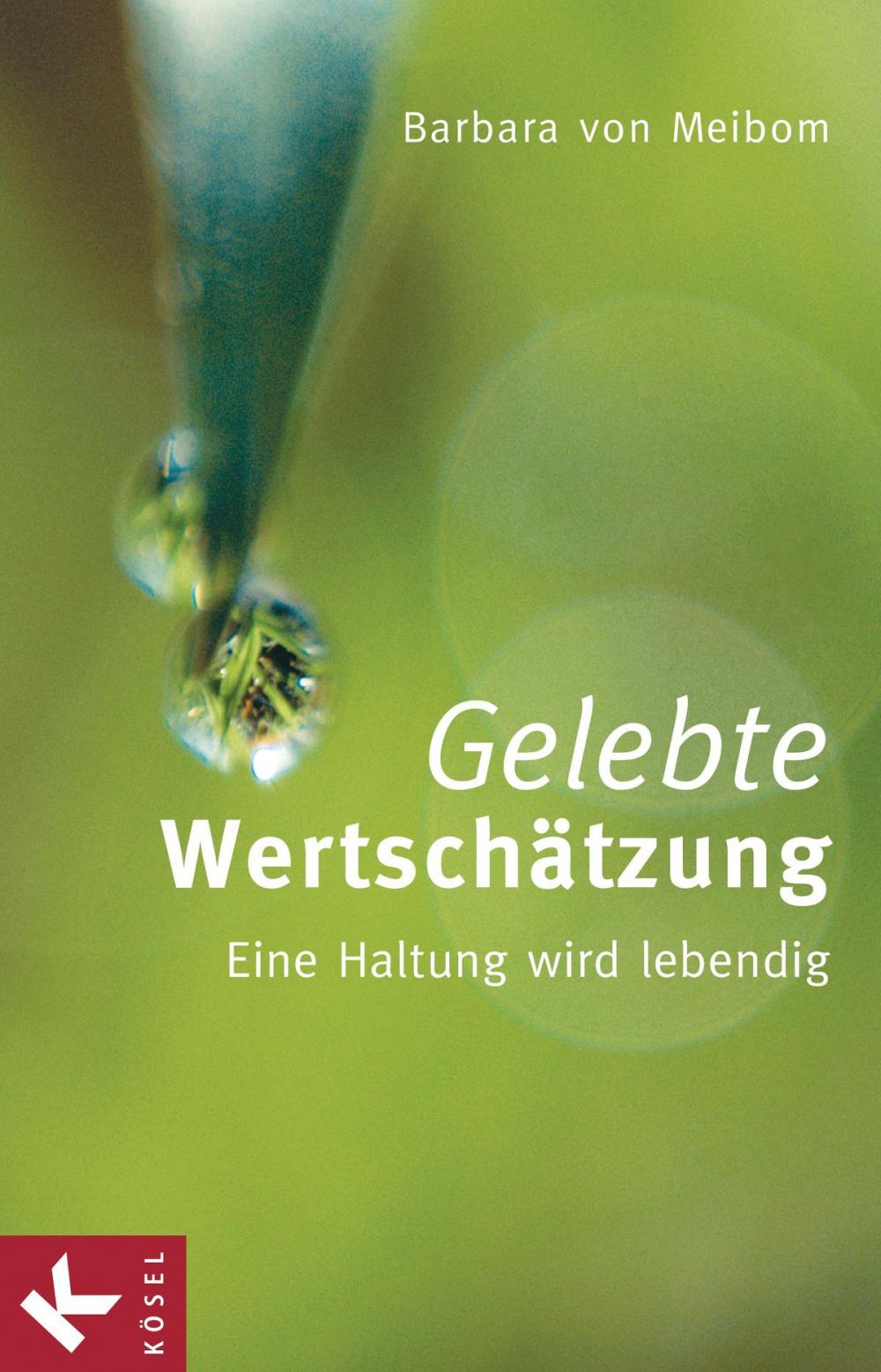 Big bigCover of Gelebte Wertschätzung