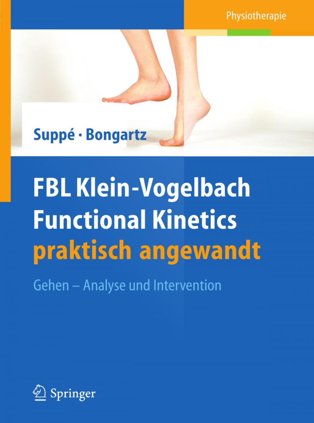 Big bigCover of FBL Klein-Vogelbach Functional Kinetics praktisch angewandt