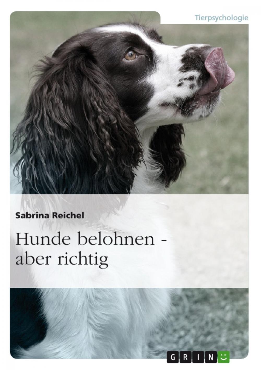 Big bigCover of Hunde belohnen - aber richtig