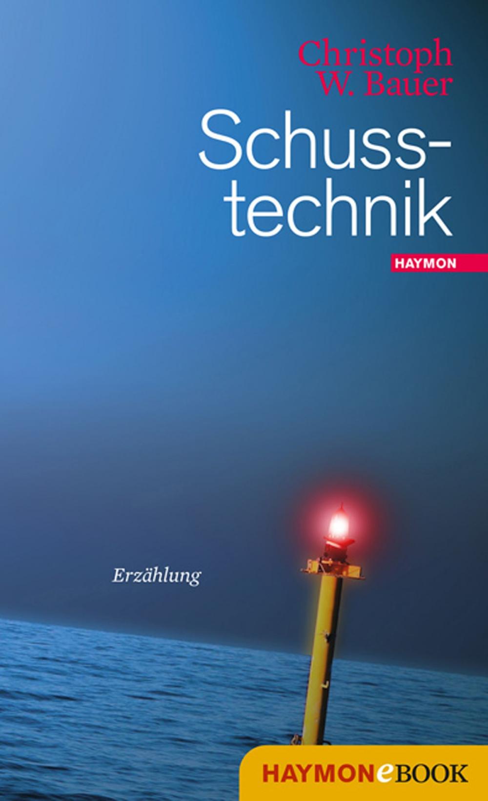 Big bigCover of Schusstechnik