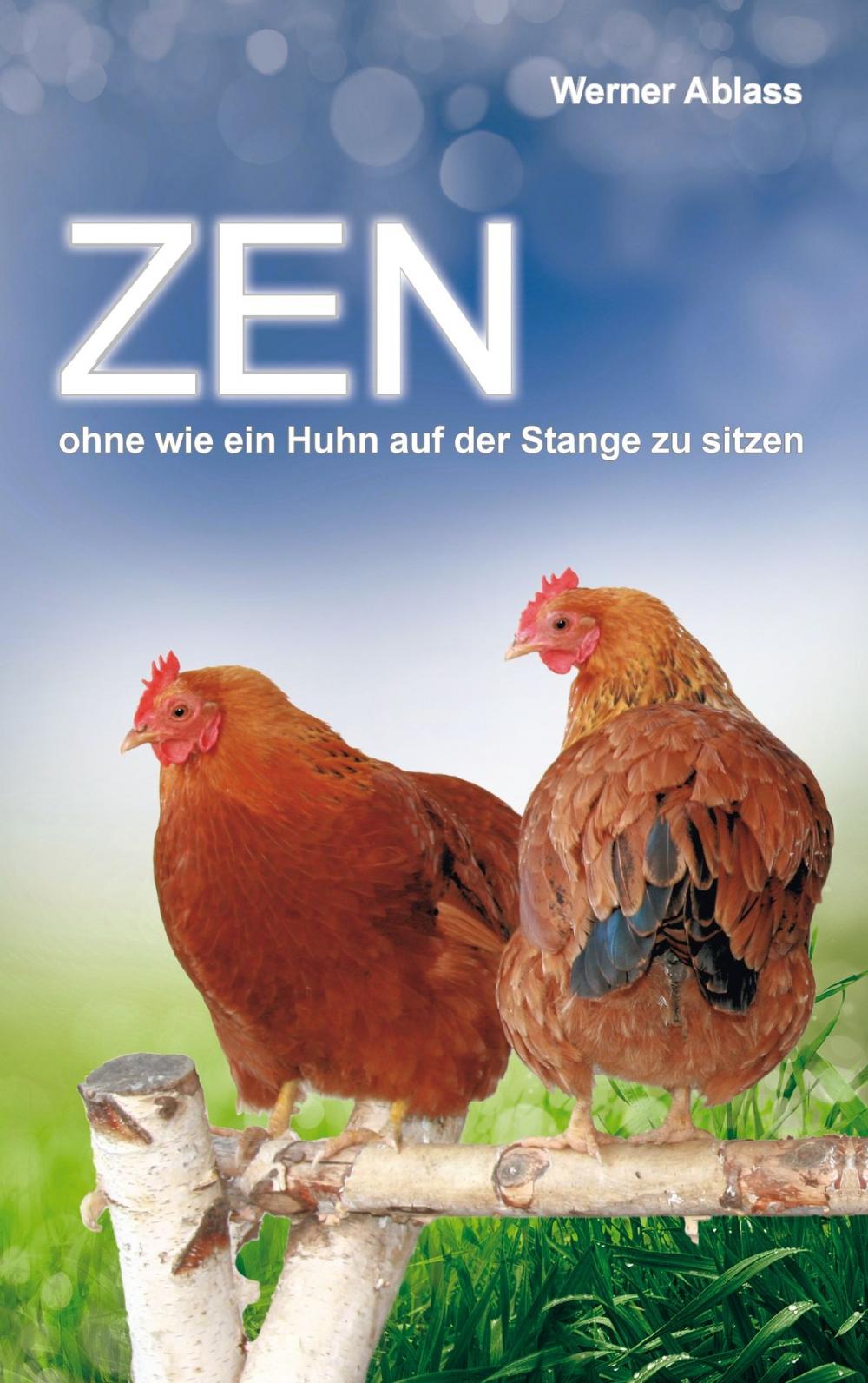 Big bigCover of Zen