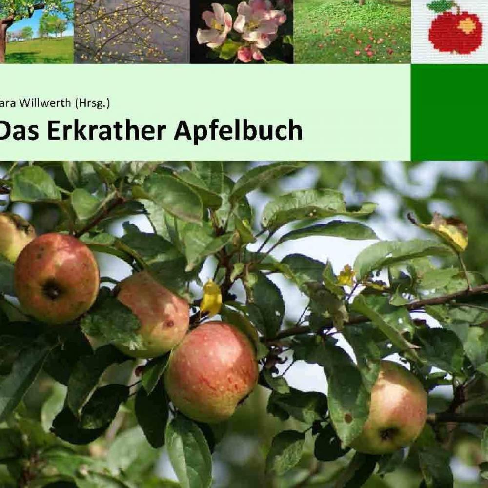 Big bigCover of Das Erkrather Apfelbuch