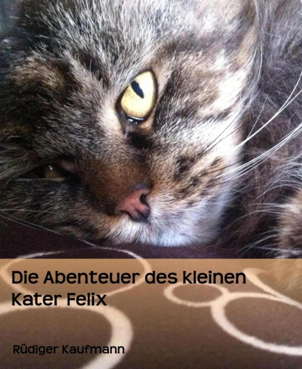 Big bigCover of Die Abenteuer des kleinen Kater Felix