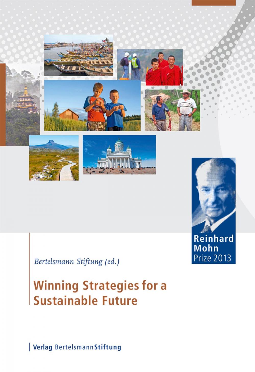 Big bigCover of Winning Strategies for a Sustainable Future