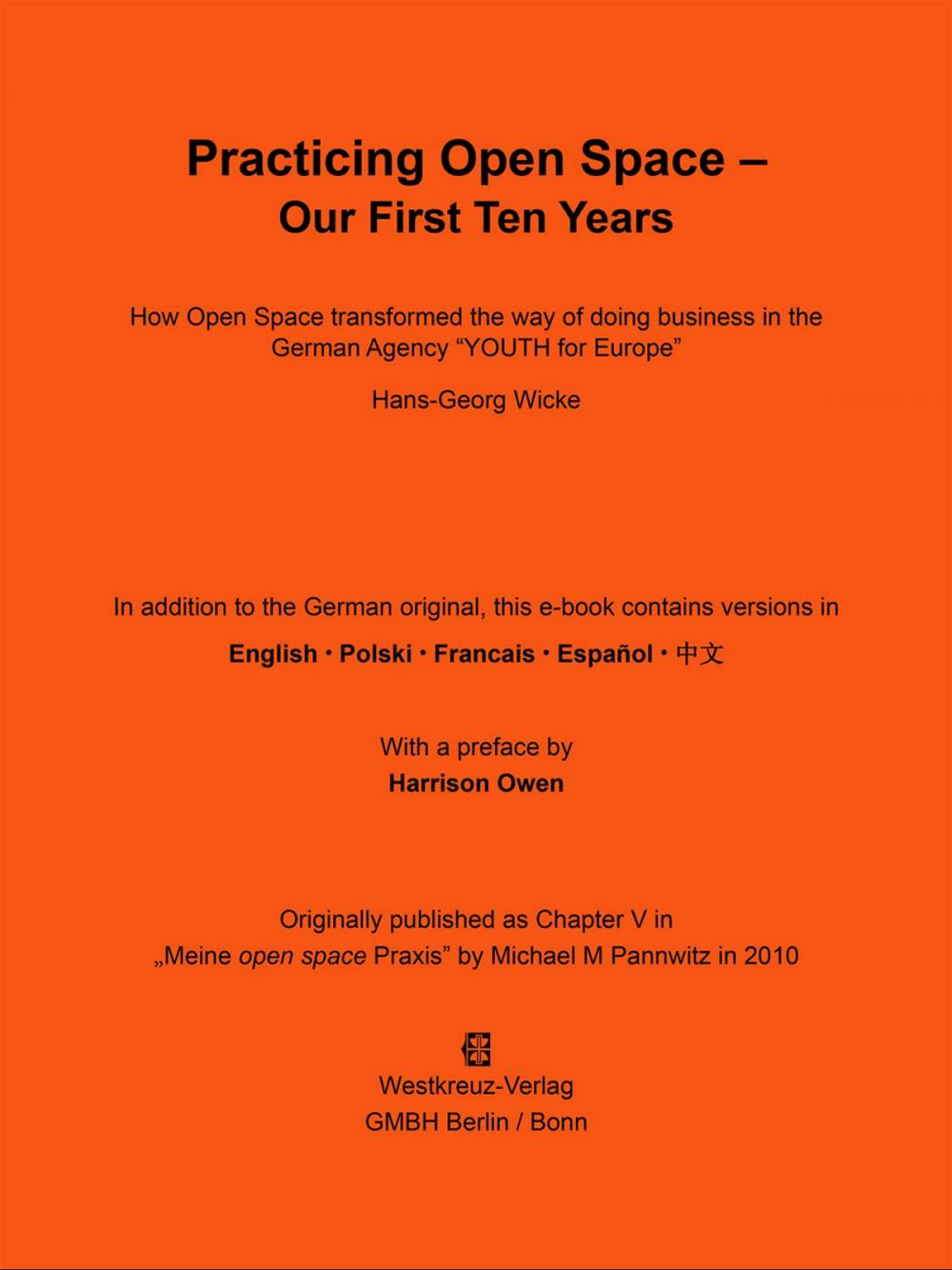 Big bigCover of Practicing Open Space - Our First Ten Years