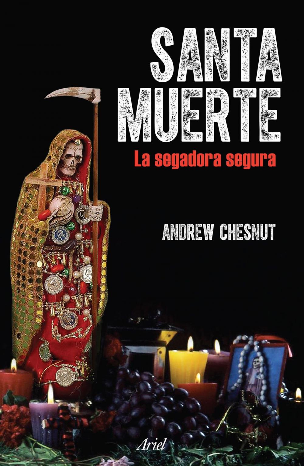 Big bigCover of Santa Muerte