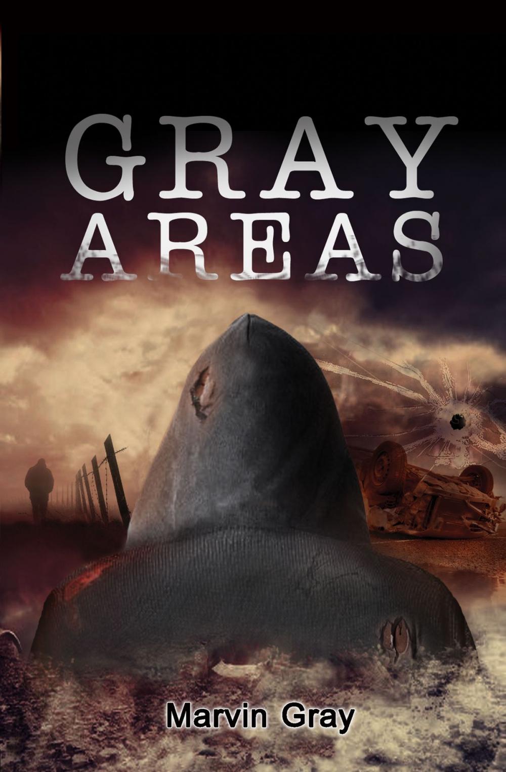 Big bigCover of Gray Areas