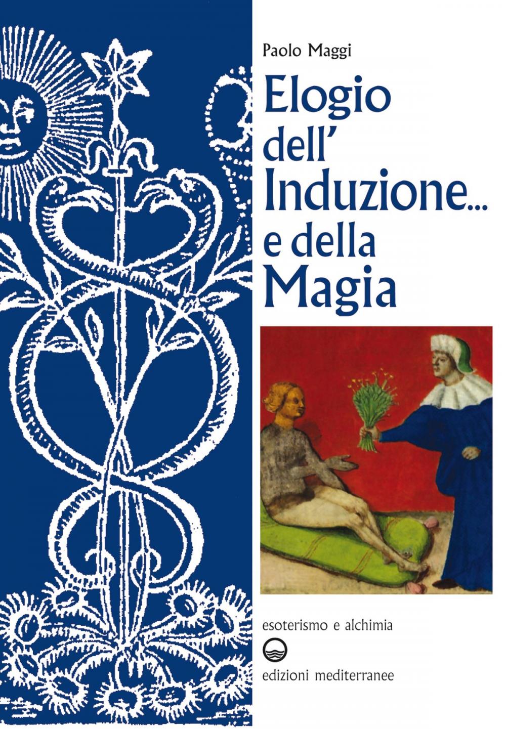 Big bigCover of Elogio dell'induzione... e della magia