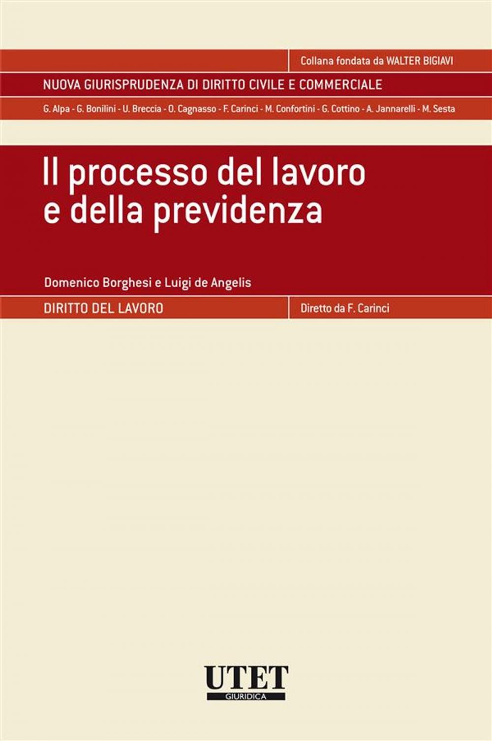 Big bigCover of Il processo del lavoro e della previdenza