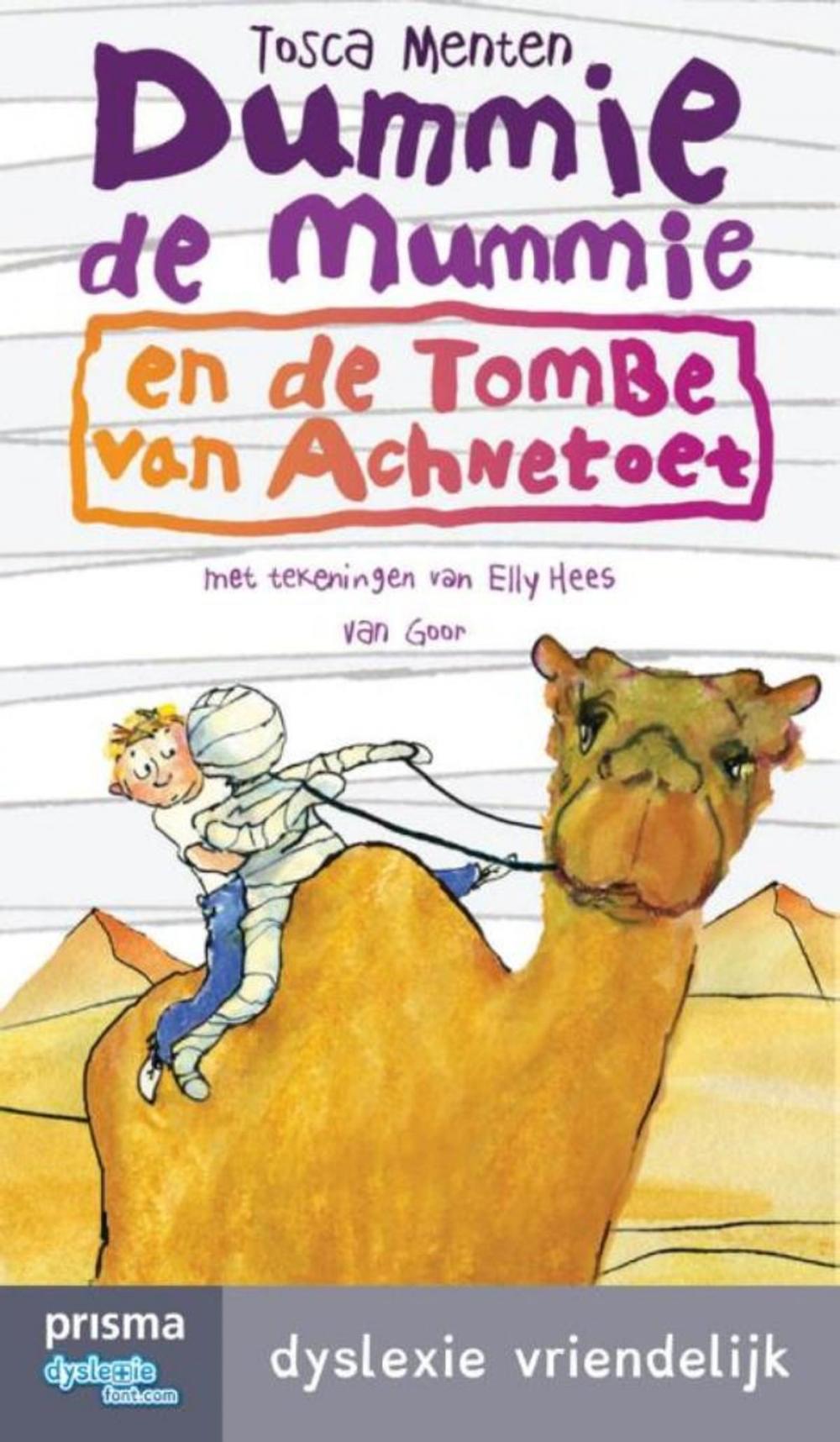 Big bigCover of Dummie de mummie en de tombe van Achnetoet