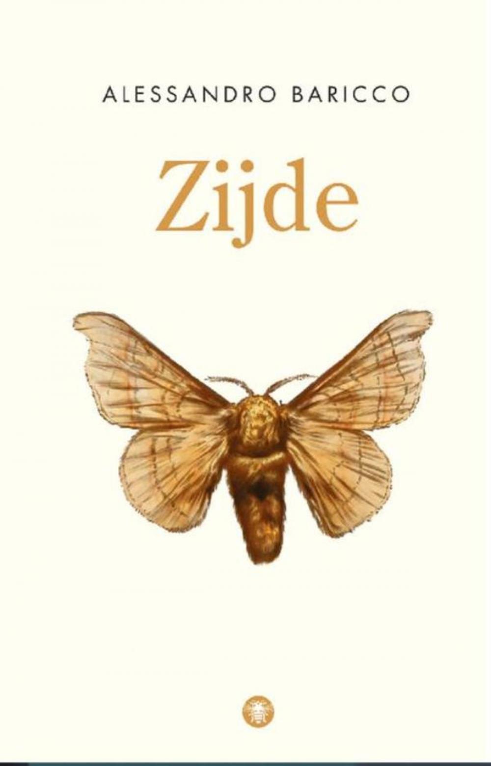 Big bigCover of Zijde