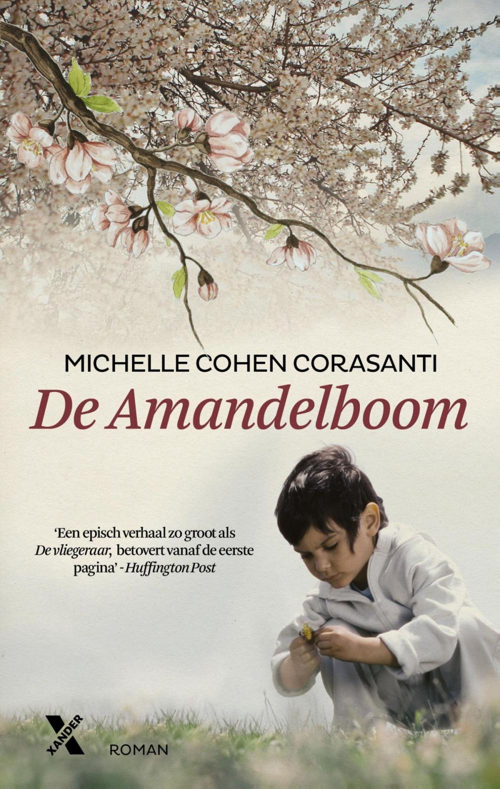 Big bigCover of De amandelboom