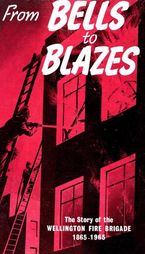 Cover of the book Bells To Blazes by Damien Fellows
