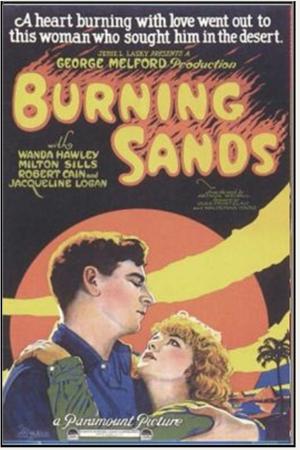 Book cover of Burning Sands