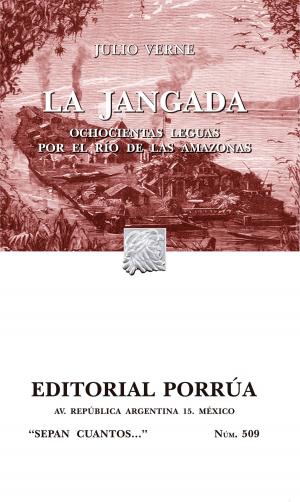 Cover of the book La jangada: Ochocientas leguas por el río de las Amazonas by Bram Stoker