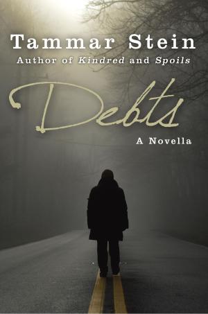 Cover of the book Debts: A Novella by O. T. Begho
