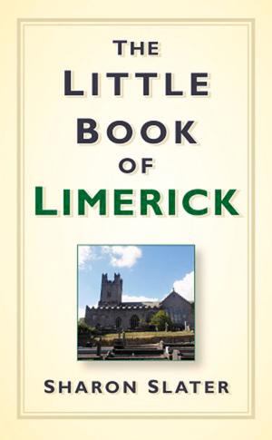Cover of the book Little Book of Limerick by Bryan Kesselman